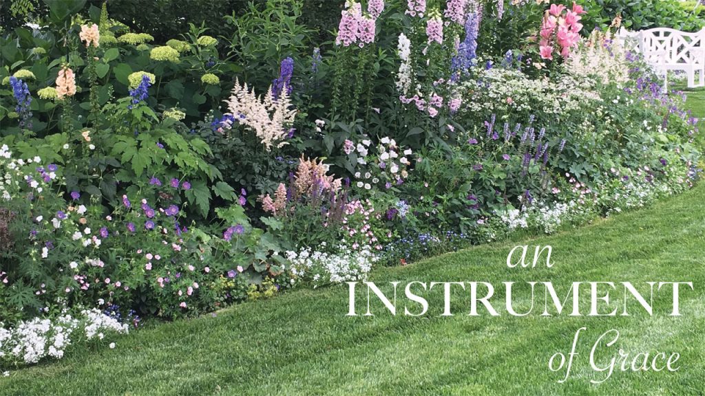 nantucket gardening 