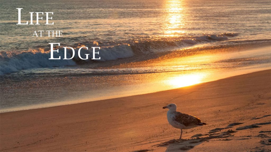 fall beaches on nantucket 