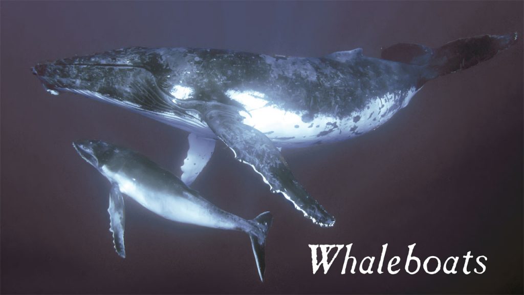 nantucket whaling 