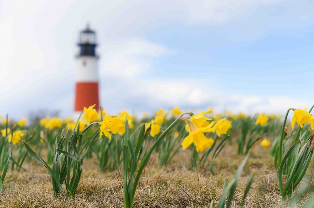 nantucket lighthouse pictures