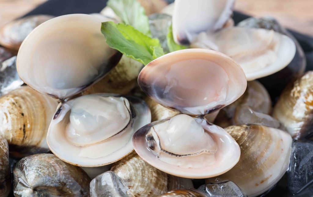 nantucket raw clams