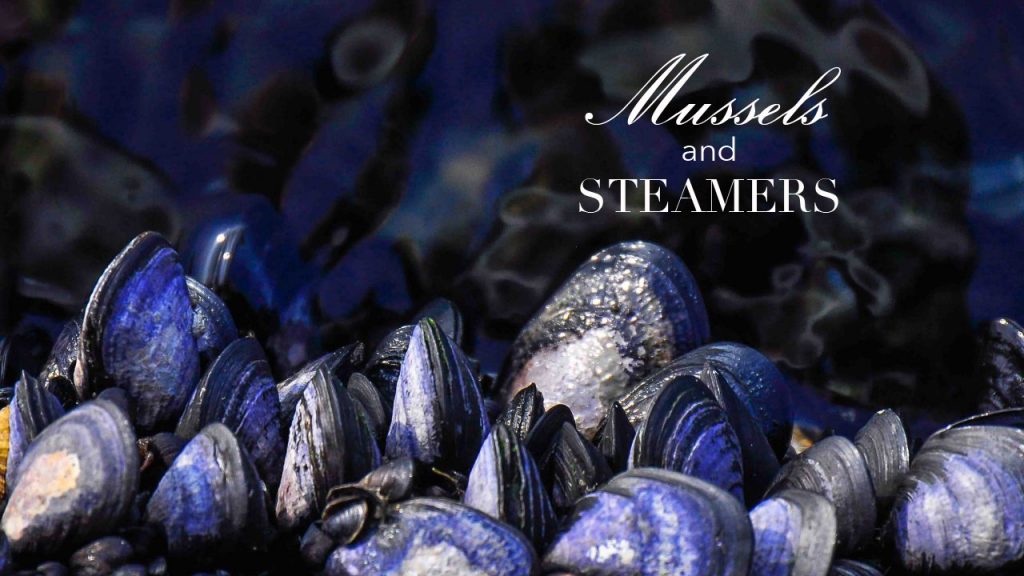 mussels-nantucket-fine-dining